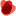 Logo PT Indonesian Cloud
