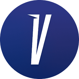 Logo Velostics, Inc.