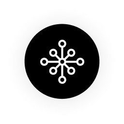 Logo PicassoMD LLC