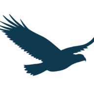 Logo Hawk Infinity AS