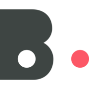 Logo Blindspot Solutions S R O