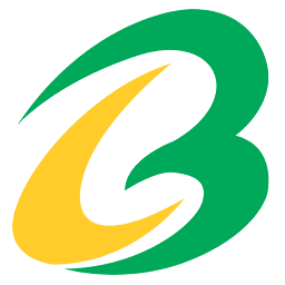 Logo Brace Port Logistics Pvt Ltd.