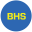 Logo Biohybrid Solutions Holding, Inc.