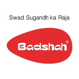 Logo Badshah Masala Pvt Ltd.