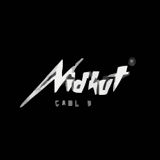 Logo Bhadora Industries Pvt Ltd.