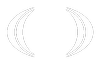 Logo Spring Tide Capital