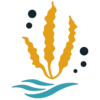 Logo Ocean Rainforest SPF
