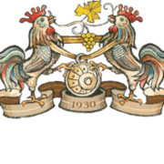 Logo Sanfeletto - Srl