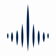 Logo Althing SAS