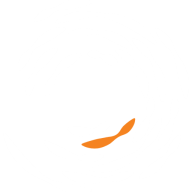 Logo Saudi Surfing Federation