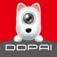 Logo DDPAI Technology Co., Ltd