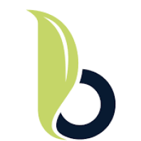 Logo Bloom Finance Co Ltd