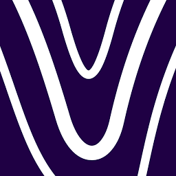 Logo Velocity Holdco LLC