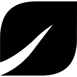 Logo Delignit AG