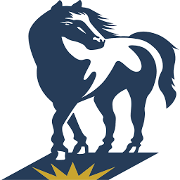 Logo Spartan Resources Ltd.