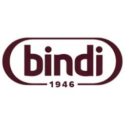 Logo Bindi SpA