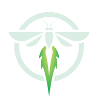 Logo Firefly VR LLC