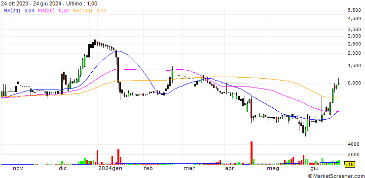 Grafico Summi (Group) Holdings Limited